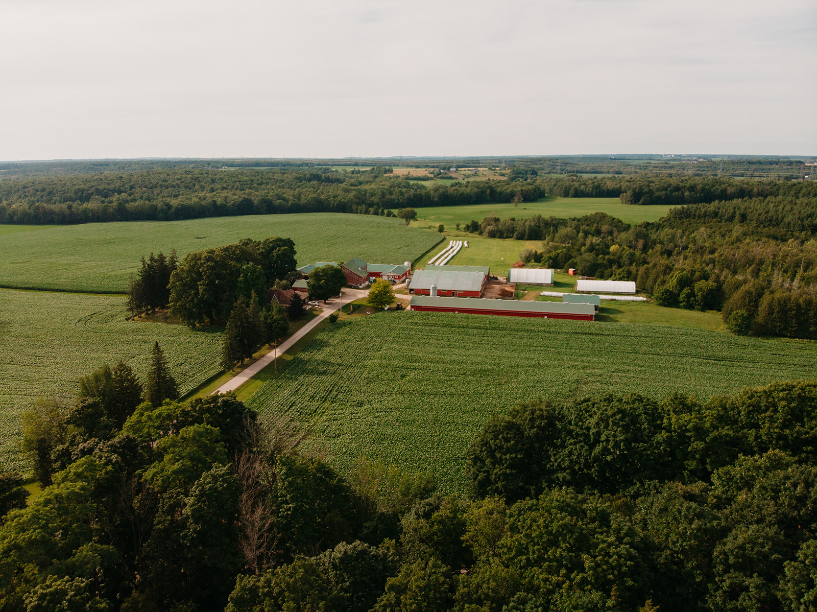 Overview of a Brockton farm